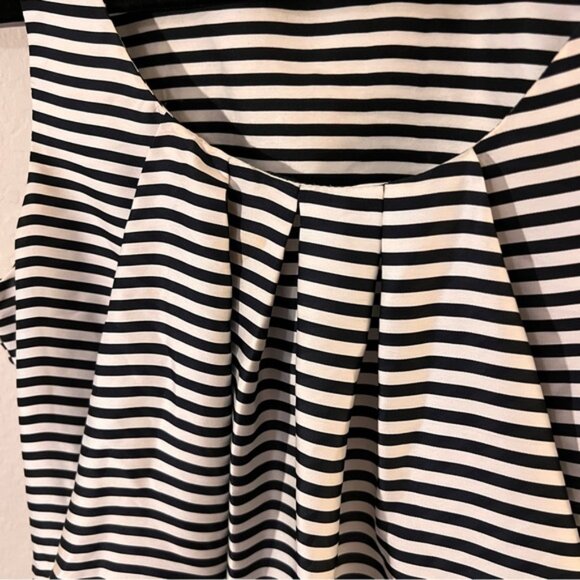 H&M Black & White Striped Sleeveless Pleated Blouse – Size 6 – 100% Polyester - Picture 3 of 8
